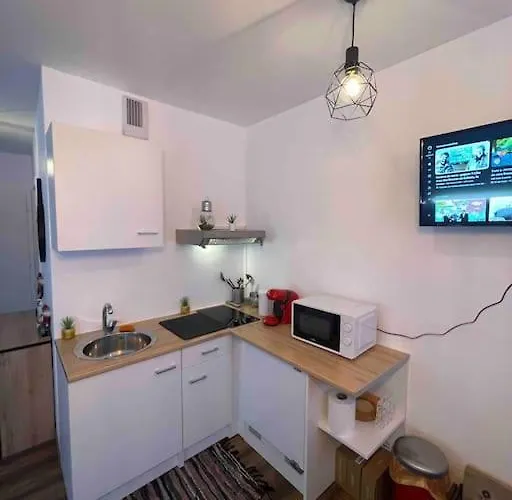 Grand Avec Jacuzzi * Estrasburgo