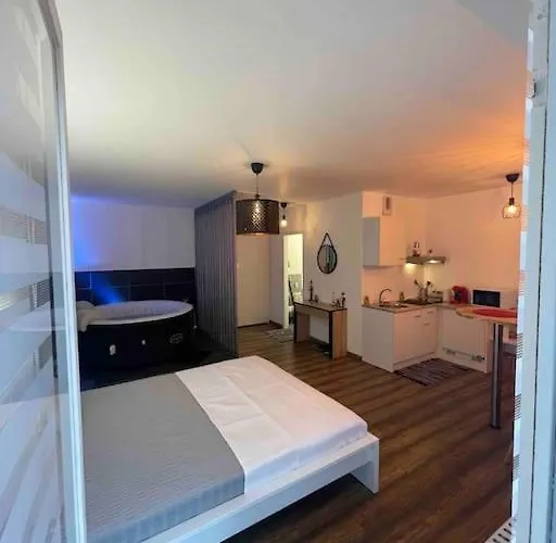 Grand Avec Jacuzzi Apartamento Estrasburgo